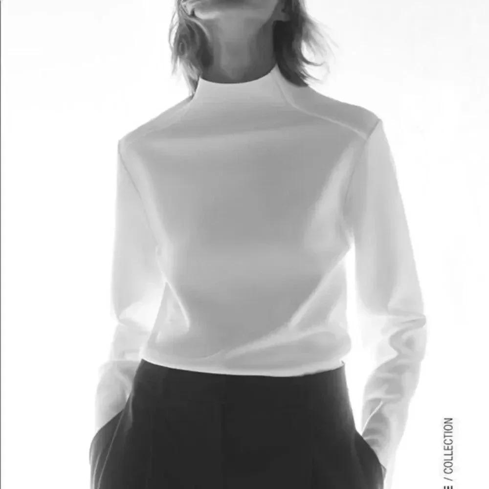 Zara High Collar Top